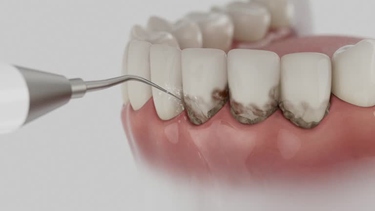 Reliable Dental contractor in Golden Beach, MD by Dentist Open Now